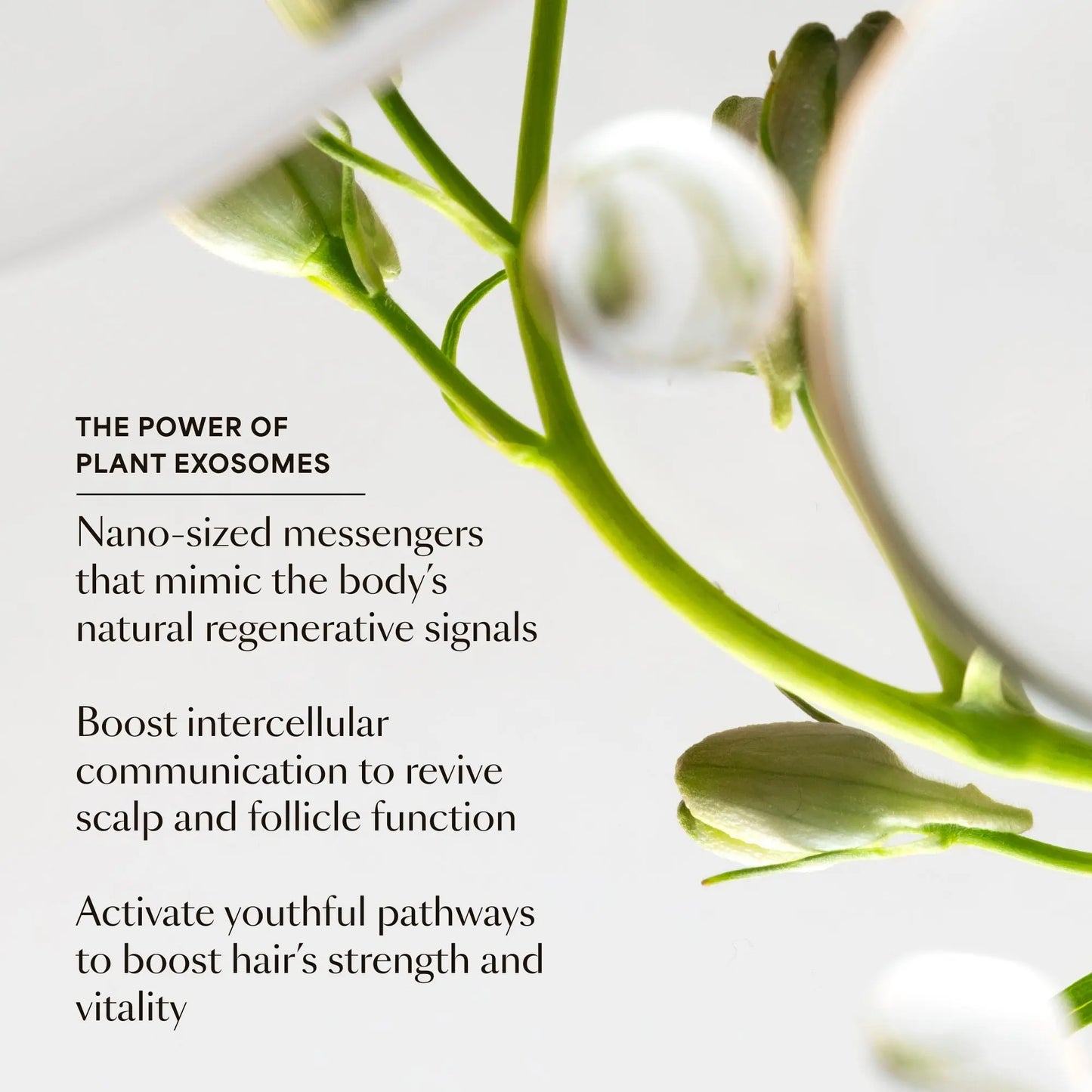 Vegamour GRO Hair Serum Plant-Based Phyto-Actives Formula for Hair Growth, Reduced Shedding & Fuller-Looking Hair
